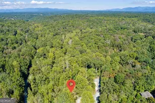 15 Padget Ln, Ellijay, GA 30540 - Photo 42