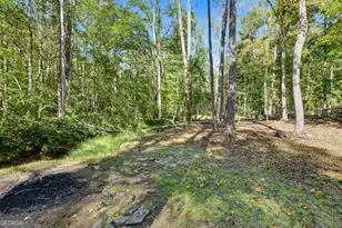 15 Padget Ln, Ellijay, GA 30540 - Photo 46
