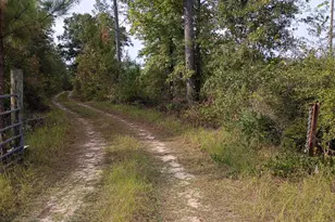 2651 Old Balls Ferry Rd, Toomsboro, GA 31090 - Photo 1
