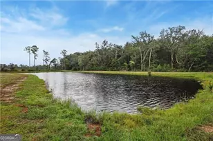 229 Blandford Crossing, Rincon, GA 31326 - Photo 4