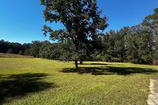 345 Brimer Rd, Newnan, GA 30263 - Photo 10
