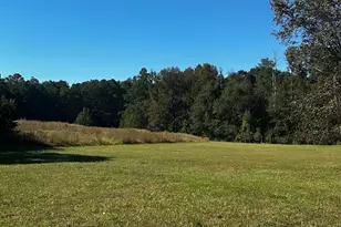 345 Brimer Rd, Newnan, GA 30263 - Photo 6