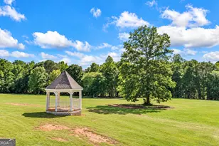 1481 Hwy 85 Conn, Brooks, GA 30205 - Photo 64