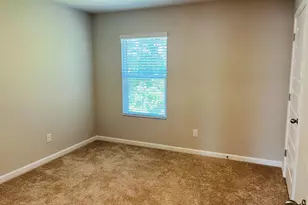 138 Silver Birch Pass, Newnan, GA 30265 - Photo 20