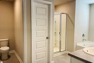 138 Silver Birch Pass, Newnan, GA 30265 - Photo 26