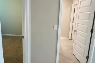138 Silver Birch Pass, Newnan, GA 30265 - Photo 32