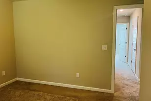 138 Silver Birch Pass, Newnan, GA 30265 - Photo 34