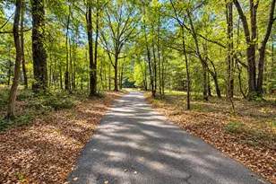 3649 New Hope Rd, Zebulon, GA 30295 - Photo 44