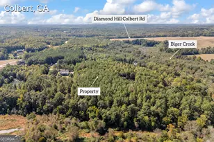 0 Kincaid Cemetery Rd, Colbert, GA 30628 - Photo 22