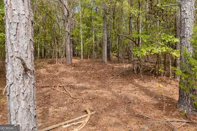 0 Kincaid Cemetery Road, Colbert, GA 30628 - Photo 38