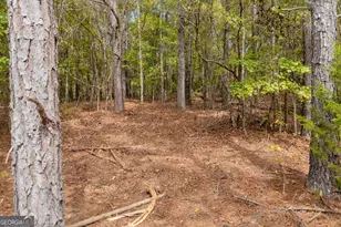 0 Kincaid Cemetery Rd, Colbert, GA 30628 - Photo 38