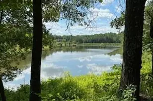 6500 Post Rd, Monticello, GA 31064 - Photo 68