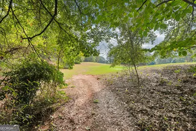 280 Flamingo Drive, Monticello, GA 31064 - Photo 46