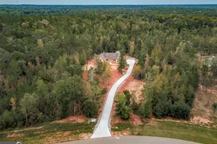 Lot #42 Starlight Dr, Senoia, GA 30276 - Photo 4