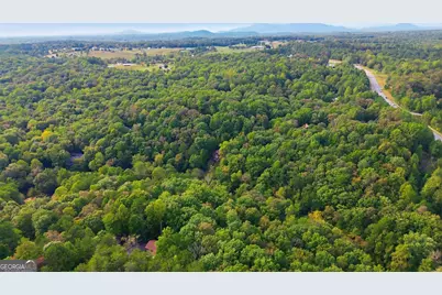 699 Cobblestone Lane, Demorest, GA 30535 - Photo 48