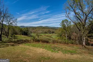 7590 Mobile Rd, Blue Ridge, GA 30513 - Photo 54
