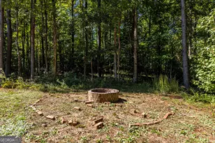 2154 Grandview Rd, Jasper, GA 30143 - Photo 48