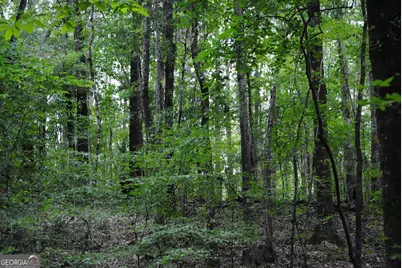 4509 Sr 18 Highway, West Point, GA 31833 - Photo 2