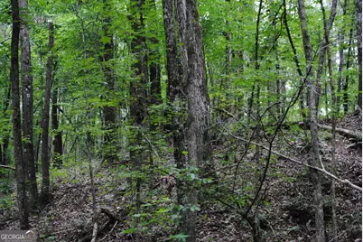 4509 Sr 18 Highway, West Point, GA 31833 - Photo 1