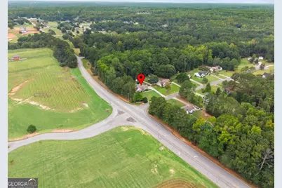 10 Chemin Place, Sharpsburg, GA 30277 - Photo 30