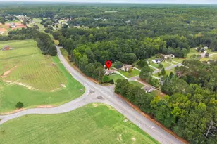 10 Chemin Pl, Sharpsburg, GA 30277 - Photo 30