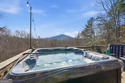 31 The Kings Court, Cherry Log, GA 30522 - Photo 64