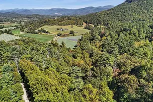 138 Taylors Chapel Rd, Rabun Gap, GA 30568 - Photo 50