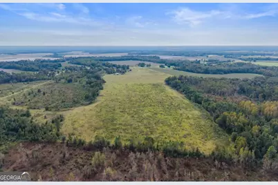 1031 Scotts Store Road, Millen, GA 30442 - Photo 12