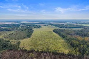 1031 Scotts Store Rd, Millen, GA 30442 - Photo 12