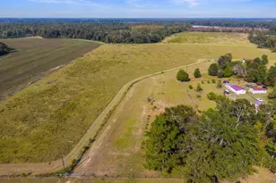 1031 Scotts Store Rd, Millen, GA 30442 - Photo 26