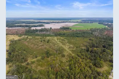 1031 Scotts Store Road, Millen, GA 30442 - Photo 8