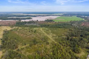 1031 Scotts Store Rd, Millen, GA 30442 - Photo 8
