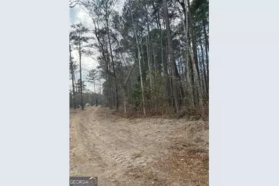0 Ga Hwy 338 (Taylor Grocery Rd), Cadwell, GA 31009 - Photo 8