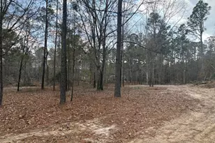 0 Ga Hwy 338 (Taylor Grocery Rd), Cadwell, GA 31009 - Photo 1