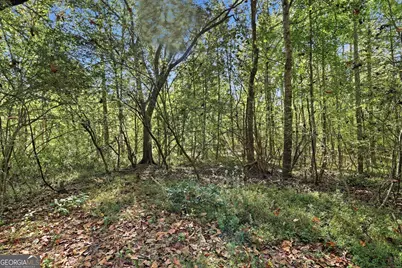 288 Sanctuary Drive, Toccoa, GA 30577 - Photo 42