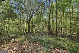 288 Sanctuary Dr, Toccoa, GA 30577 - Photo 42