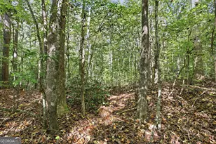 288 Sanctuary Dr, Toccoa, GA 30577 - Photo 46
