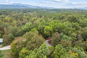 38 Sweetwater Trail, Epworth, GA 30541 - Photo 52