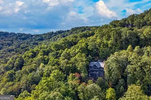 559 Overlook Trail, Blue Ridge, GA 30513 - Photo 60