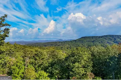 559 Overlook Trail, Blue Ridge, GA 30513 - Photo 64