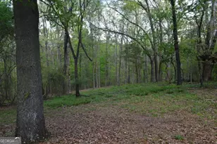 66 Topaz Ln, Royston, GA 30662 - Photo 20