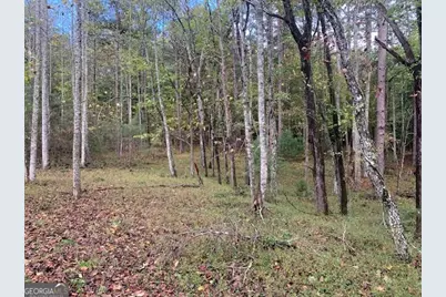 Lot 132 Fox Cove Road, Blairsville, GA 30512 - Photo 2