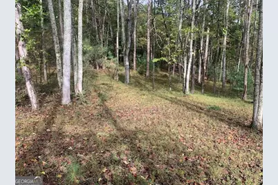 Lot 132 Fox Cove Road, Blairsville, GA 30512 - Photo 1