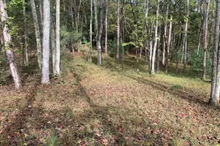 Lot 132 Fox Cove Rd, Blairsville, GA 30512 - Photo 1