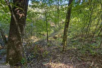 239 Fenner Road, Jackson, GA 30233 - Photo 46