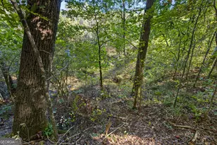 239 Fenner Rd, Jackson, GA 30233 - Photo 46