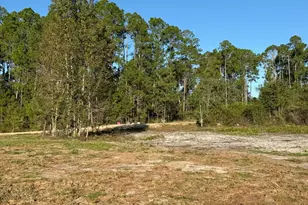 2096 Sellers Rd, Baxley, GA 31513 - Photo 44