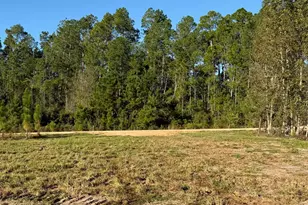 2096 Sellers Rd, Baxley, GA 31513 - Photo 48