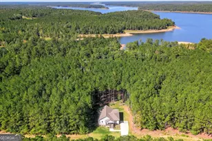 1165 Watersedge Cove, Tignall, GA 30668 - Photo 4