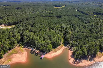 1165 Watersedge Cove, Tignall, GA 30668 - Photo 54